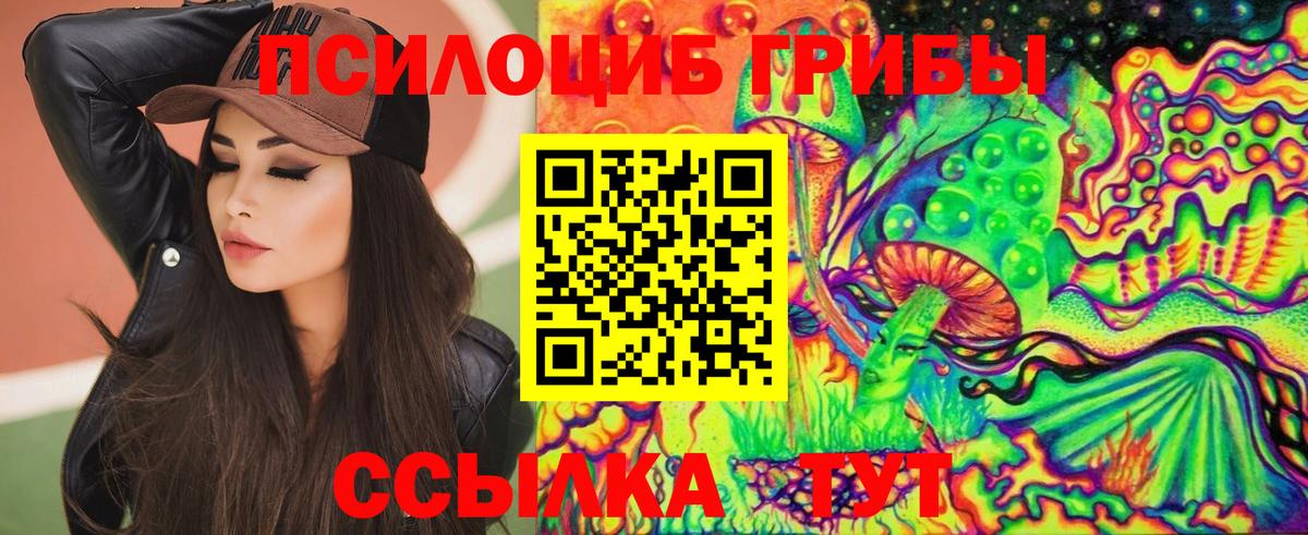 Азнакаево  Псилоцибиновые грибы MAGIC MUSHROOMS  Псилоцибиновые грибы ЛСД  Вход с VPN 